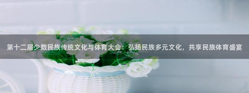 JJB竞技宝官方正版app科技:第十二届少数民族传统文化与体