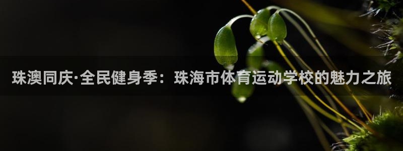 JJB竞技宝官网下载平台注册要钱吗安全吗:珠澳同庆·全民健身